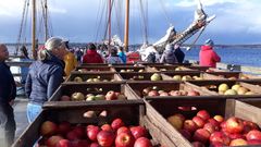 Apfelfahrt 2026: Traditionsschiffe und Äpfel in Glücksburg